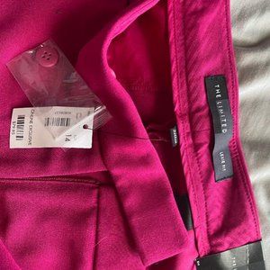 The limited pant size 14 new with tags